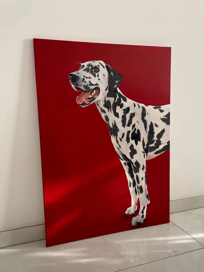 Dalmatian, oil